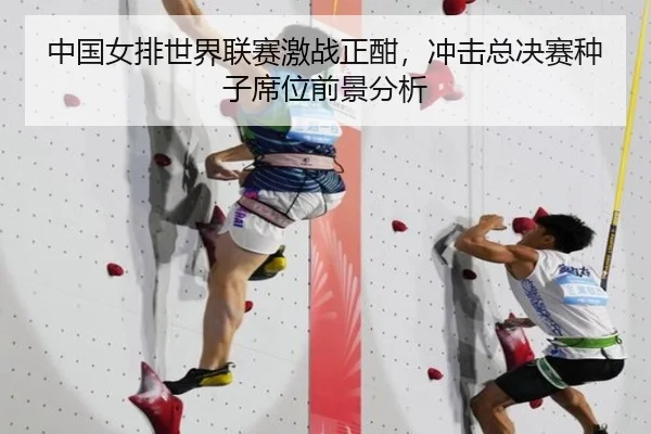 img_1781716891856_17_1_549.jpg
